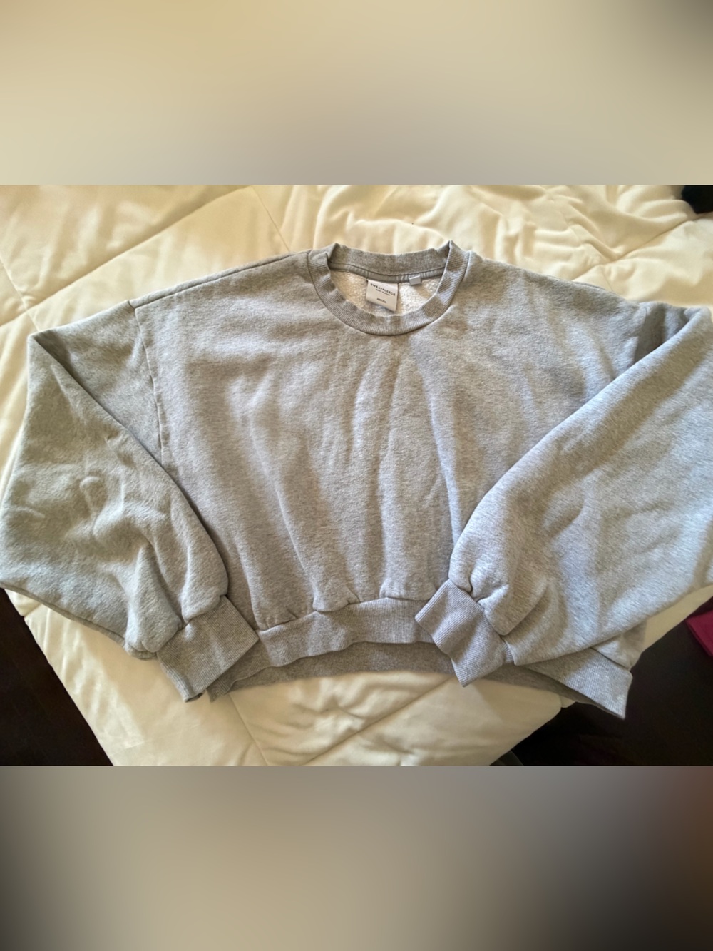 Aritzia Light Gray Crewneck Sweatshirt
